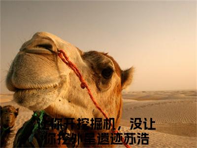 让你开挖掘机，没让你挖外星遗迹苏浩（让你开挖掘机，没让你挖外星遗迹苏浩）全文免费阅读无弹窗大结局_让你开挖掘机，没让你挖外星遗迹苏浩最新章节列表_笔趣阁（让你开挖掘机，没让你挖外星遗迹苏浩）