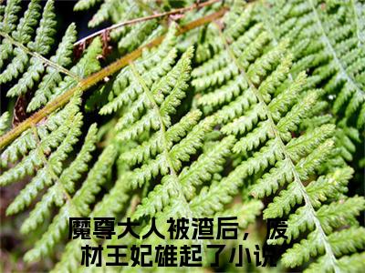 (热推新书)美文摘抄（魔尊大人被渣后，废材王妃雄起了）主人公为（夜九天君夭夭）的小说 魔尊大人被渣后，废材王妃雄起了大结局全文免费阅读_笔趣阁
