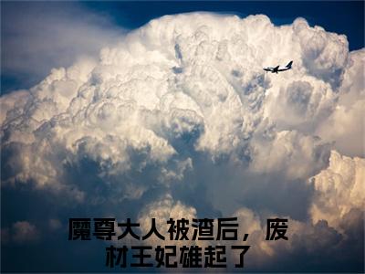 【全文】《夜九天君夭夭》小说txt在线阅读_(夜九天君夭夭全章节)-夜九天君夭夭_魔尊大人被渣后，废材王妃雄起了在线阅读