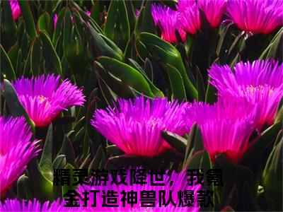 《苏云》主角是精灵游戏降世，我氪金打造神兽队全文免费阅读已完结