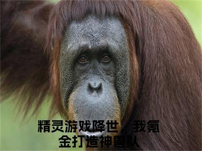 苏云小说（精灵游戏降世，我氪金打造神兽队）全文免费读无弹窗大结局_（精灵游戏降世，我氪金打造神兽队小说免费苏云阅读）