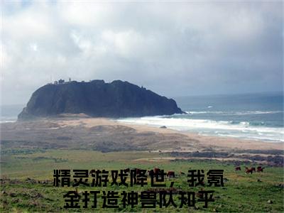 苏云（精灵游戏降世，我氪金打造神兽队）全文免费阅读无弹窗大结局_(精灵游戏降世，我氪金打造神兽队)苏云免费阅读无弹窗最新章节列表_笔趣阁（苏云）