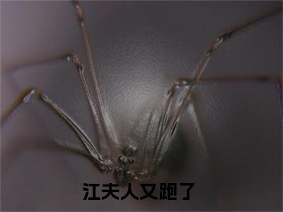 许阮阮江熠寒（江夫人又跑了）全文免费阅读_（江夫人又跑了）许阮阮江熠寒最新章节列表笔趣阁（江夫人又跑了）