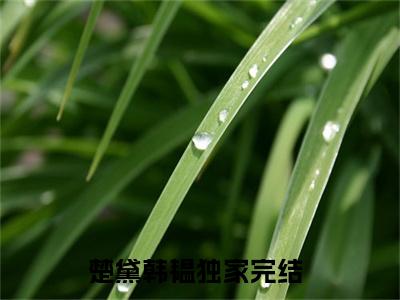 楚黛韩韫（楚黛韩韫）全文免费大结局，楚黛韩韫结局在线阅读