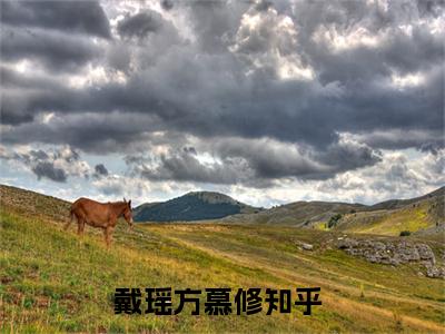 戴瑶方慕修小说全文免费阅读，戴瑶方慕修完整版