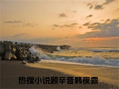 顾辛音韩夜霖（本小姐不装了，其实我是上亿豪门继承人！）全文免费阅读_（顾辛音韩夜霖）本小姐不装了，其实我是上亿豪门继承人！最新章节小说免费阅读_笔趣阁（顾辛音韩夜霖）