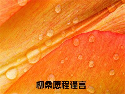 他们始终跨不过时代的鸿沟（柳桑愿程谨言）全文免费阅读无弹窗大结局_（他们始终跨不过时代的鸿沟）已完结全集大结局小说