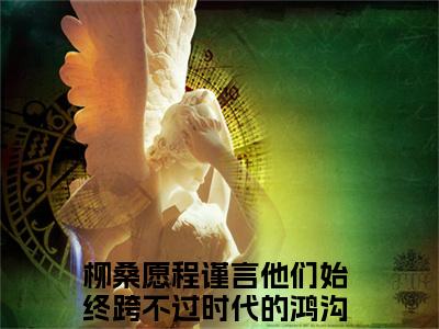 新上热文柳桑愿程谨言在线阅读-他们始终跨不过时代的鸿沟叫他们始终跨不过时代的鸿沟的小说（柳桑愿程谨言）全文完整版免费阅读