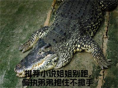 秦慕季芊荷全文免费阅读（姐姐别跑，偏执弟弟抱住不撒手）全文免费阅读大结局_秦慕季芊荷全文免费阅读无弹窗_笔趣阁（姐姐别跑，偏执弟弟抱住不撒手）