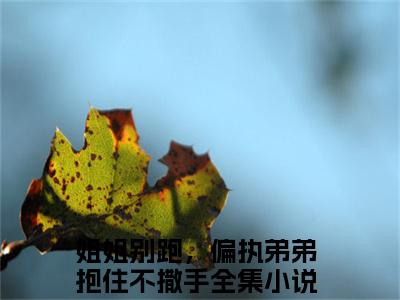 （姐姐别跑，偏执弟弟抱住不撒手）全文免费阅读-姐姐别跑，偏执弟弟抱住不撒手（秦慕季芊荷）最新章节列表阅读