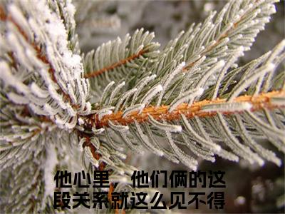 许南妤傅寒峥他心里，他们俩的这段关系就这么见不得光吗在线小说-他心里，他们俩的这段关系就这么见不得光吗全文无删减版阅读
