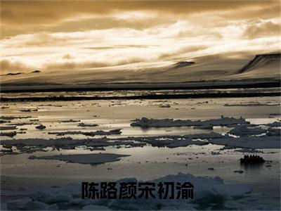 【新书】陈路颜宋初渝全文全章节免费阅读-陈路颜宋初渝 全文免费阅读无弹窗大结局