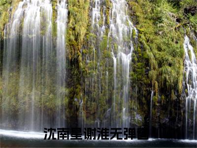 沈南星谢淮小说免费阅读-沈南星谢淮最新章节小说阅读-笔趣阁