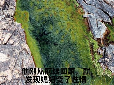 姜向晚霍廷舟他刚从前线回家，就发现媳妇变了性情最新章节免费阅读 他刚从前线回家，就发现媳妇变了性情小说最新章节