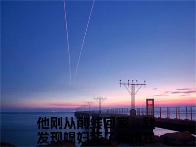 姜向晚霍廷舟全文免费阅读_（姜向晚霍廷舟）他刚从前线回家，就发现媳妇变了性情最新小说_笔趣阁