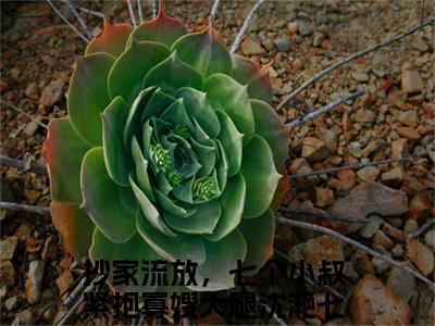 抄家流放，七个小叔紧抱寡嫂大腿沈滟七小说全文-抄家流放，七个小叔紧抱寡嫂大腿沈滟七小说抄家流放，七个小叔紧抱寡嫂大腿沈滟七免费阅读大结局