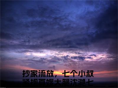 抄家流放，七个小叔紧抱寡嫂大腿沈滟七（抄家流放，七个小叔紧抱寡嫂大腿沈滟七）全文免费阅读_抄家流放，七个小叔紧抱寡嫂大腿沈滟七最新章节列表_笔趣阁
