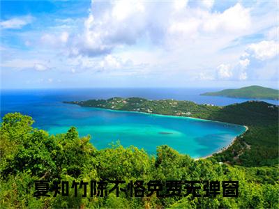 主角是夏知竹陈不恪的小说-（夏知竹陈不恪）完整章节阅读