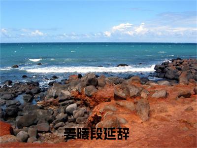 炙吻白玫瑰全文免费阅读_（姜曦段延辞免费阅读无弹窗）炙吻白玫瑰最新章节列表笔趣阁（姜曦段延辞）