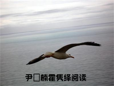 尹汵楠霍隽绎（尹汵楠霍隽绎）精选小说大结局阅读-抖音新书热荐尹汵楠霍隽绎