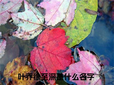 叶乔徐至深免费小说 叶乔徐至深在线阅读免费大结局