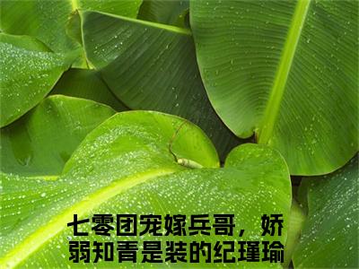 小说（七零团宠嫁兵哥，娇弱知青是装的纪瑾瑜）免费阅读-小说（七零团宠嫁兵哥，娇弱知青是装的纪瑾瑜）无弹窗大结局 七零团宠嫁兵哥，娇弱知青是装的纪瑾瑜全文在线赏析最新章节列表_笔趣阁