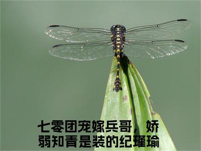 七零团宠嫁兵哥，娇弱知青是装的纪瑾瑜（七零团宠嫁兵哥，娇弱知青是装的纪瑾瑜）全文免费阅读无弹窗大结局_七零团宠嫁兵哥，娇弱知青是装的纪瑾瑜全文免费阅读（七零团宠嫁兵哥，娇弱知青是装的纪瑾瑜）最新章节列表_笔趣阁（七零团宠嫁兵哥，娇弱知青是装的纪瑾瑜）