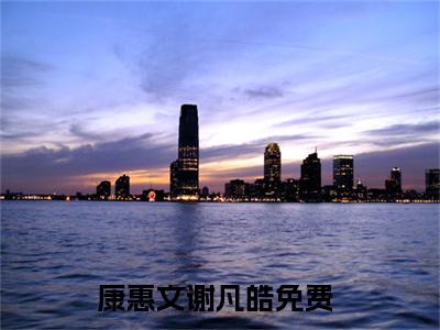 康惠文谢凡皓的书名全文免费最后一章在线阅读 康惠文谢凡皓全文小说完整版