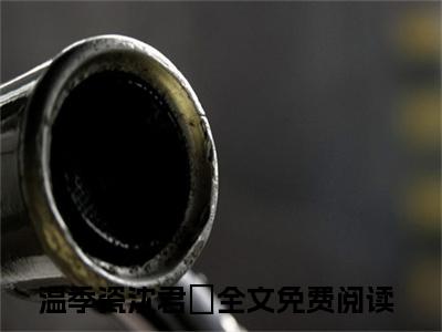 温季瓷沈君璟（温季瓷沈君璟）精彩小说-温季瓷沈君璟小说全文无删减版免费阅读