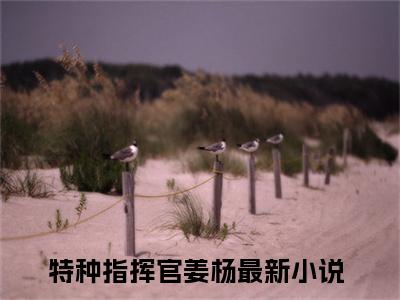 特种指挥官姜杨小说（特种指挥官姜杨）小说全文无删减版在线阅读_特种指挥官姜杨小说最新章节列表