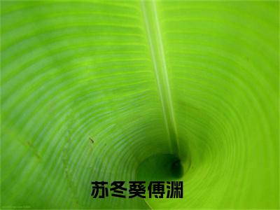 苏冬葵傅渊（大结局小说全集完整版）苏冬葵傅渊小说_苏冬葵傅渊全文阅读笔趣阁