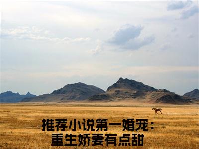第一婚宠：重生娇妻有点甜免费小说（洛夕冷闵行）全文无弹窗阅读 第一婚宠：重生娇妻有点甜大结局免费阅读无弹窗