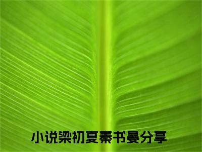 梁初夏秦书晏(梁初夏秦书晏)全文免费阅读无弹窗大结局_梁初夏秦书晏章节列表