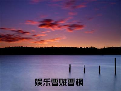 娱乐曹贼曹枫（娱乐曹贼曹枫txt）全文免费阅读无弹窗大结局_娱乐曹贼曹枫最新章节列表_笔趣阁（娱乐曹贼曹枫txt）