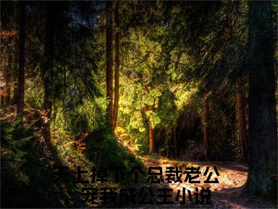 周宇航林夏全文免费阅读无弹窗大结局_(天上掉下个总裁老公，宠我成公主免费阅读)周宇航林夏最新章节在线阅读_笔趣阁