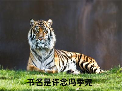 许念冯季尧（反向驯服）全文免费阅读无弹窗-（许念冯季尧）反向驯服小说全文在线赏析