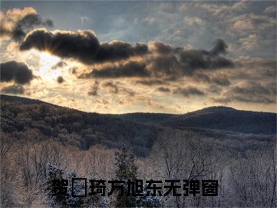 贺珺琦方旭东小说（贺珺琦方旭东最新全章节大结局）贺珺琦方旭东全文阅读