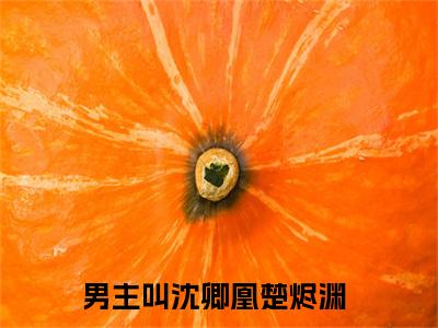沈卿凰楚烬渊（沈卿凰楚烬渊小说）全文免费阅读无弹窗大结局_（沈卿凰楚烬渊阅读无弹窗）沈卿凰楚烬渊小说章节列表_笔趣阁