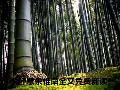 余纾意余惟南大结局免费阅读 余纾意余惟南全文小说