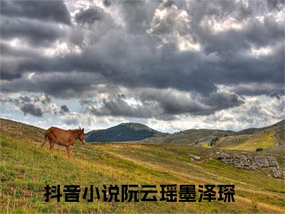【新书】《阮云瑶墨泽琛》全文免费阅读无弹窗大结局-阮云瑶墨泽琛全文全章节免费阅读
