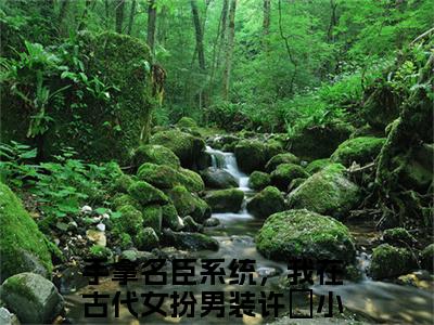 手拿名臣系统，我在古代女扮男装许玥(手拿名臣系统，我在古代女扮男装许玥)是什么小说-美文赏析手拿名臣系统，我在古代女扮男装许玥抖音热文分享
