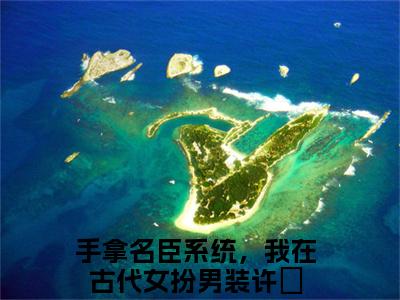 男女主人公手拿名臣系统，我在古代女扮男装许玥小说手拿名臣系统，我在古代女扮男装许玥全文免费阅读