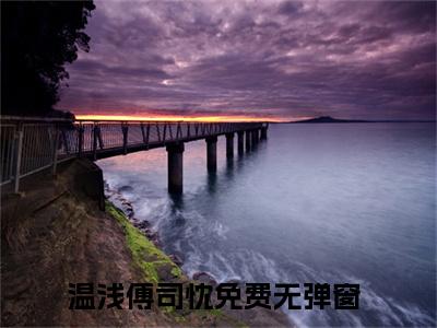 (热推新书)美文摘抄（温浅傅司忱）主人公为（温浅傅司忱）的小说 温浅傅司忱大结局全文免费阅读_笔趣阁