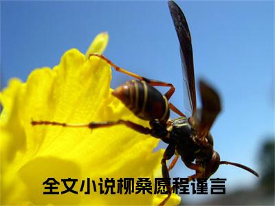 柳桑愿程谨言(柳桑愿程谨言)小说免费下载全本-柳桑愿程谨言（柳桑愿程谨言完整版）免费阅读无弹窗（柳桑愿程谨言）