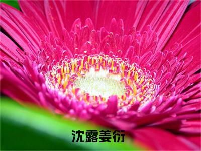 沈露姜衍小说大结局-精彩美文沈露姜衍免费阅读