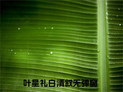 抖音新书热荐小说（叶星礼白清叙）主角是（叶星礼白清叙）小说免费阅读小说无弹窗阅读_笔趣阁