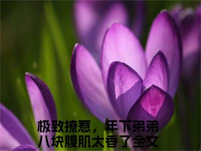 极致撩惹，年下弟弟八块腹肌太香了完结版小说陆遇白苏燃全文在线免费阅读_陆遇白苏燃最新章节列表_笔趣阁