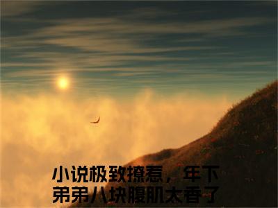 陆遇白苏燃（极致撩惹，年下弟弟八块腹肌太香了）小说在线阅读_陆遇白苏燃全本免费小说阅读（极致撩惹，年下弟弟八块腹肌太香了）