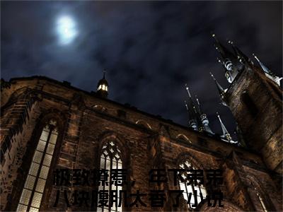 陆遇白苏燃（极致撩惹，年下弟弟八块腹肌太香了）全文免费阅读无弹窗大结局_陆遇白苏燃最新章节列表笔趣阁