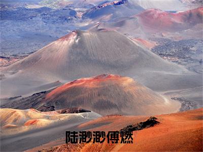 陆渺渺傅燃(陆渺渺傅燃)最新章节在线阅读-陆渺渺傅燃已完结全集大结局小说